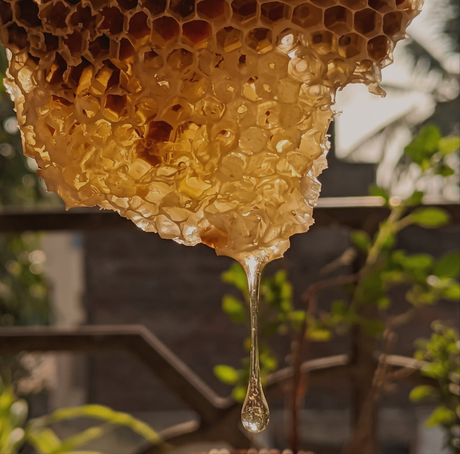 Cera de abeja