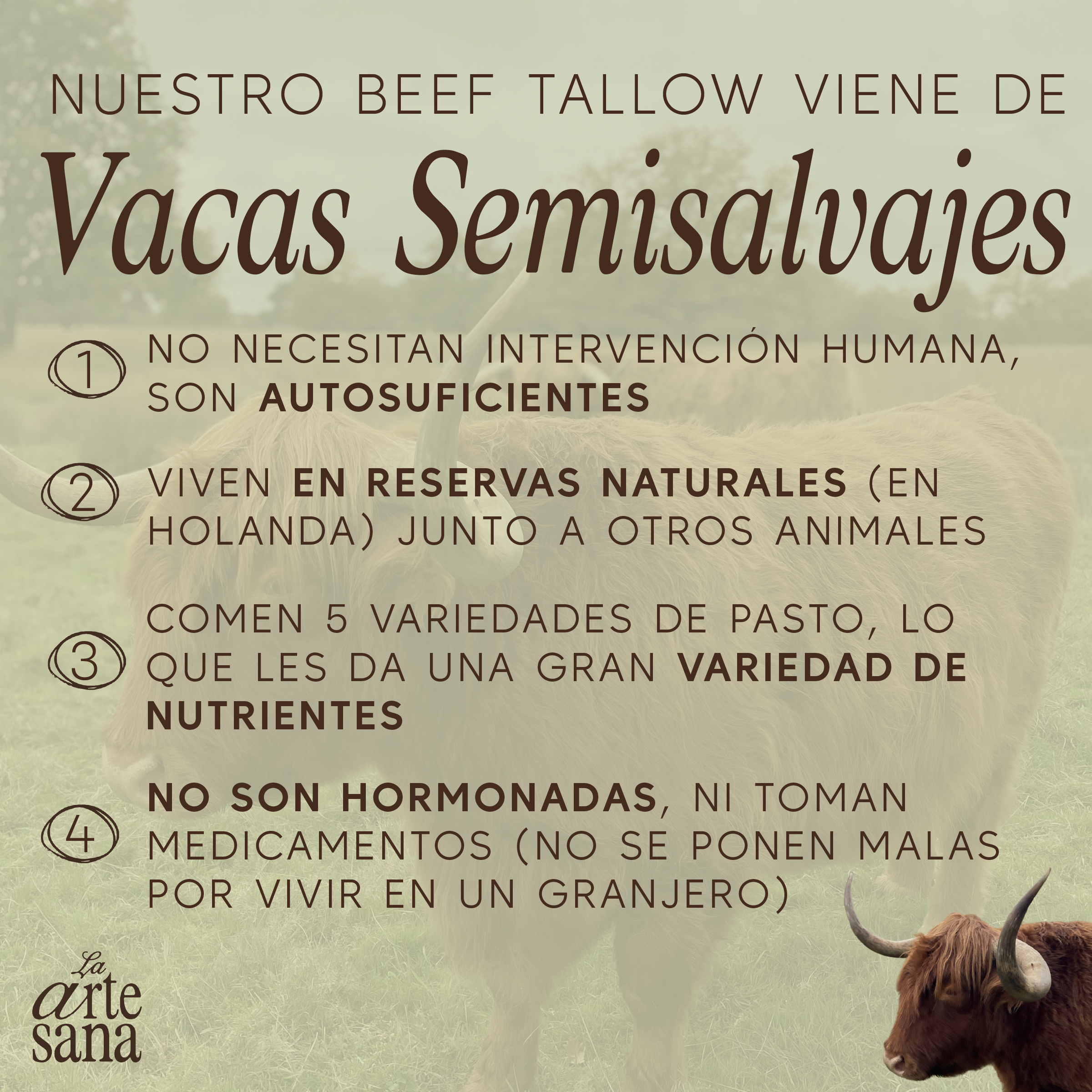 Crema Facial de Día - 60ml